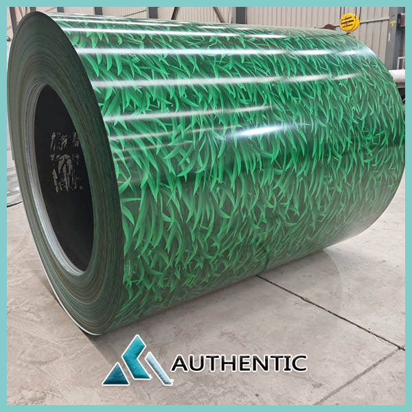Prepainted galvalume steel coil